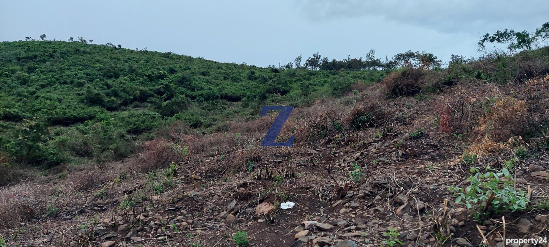 Prime plot for sale in Kisumu