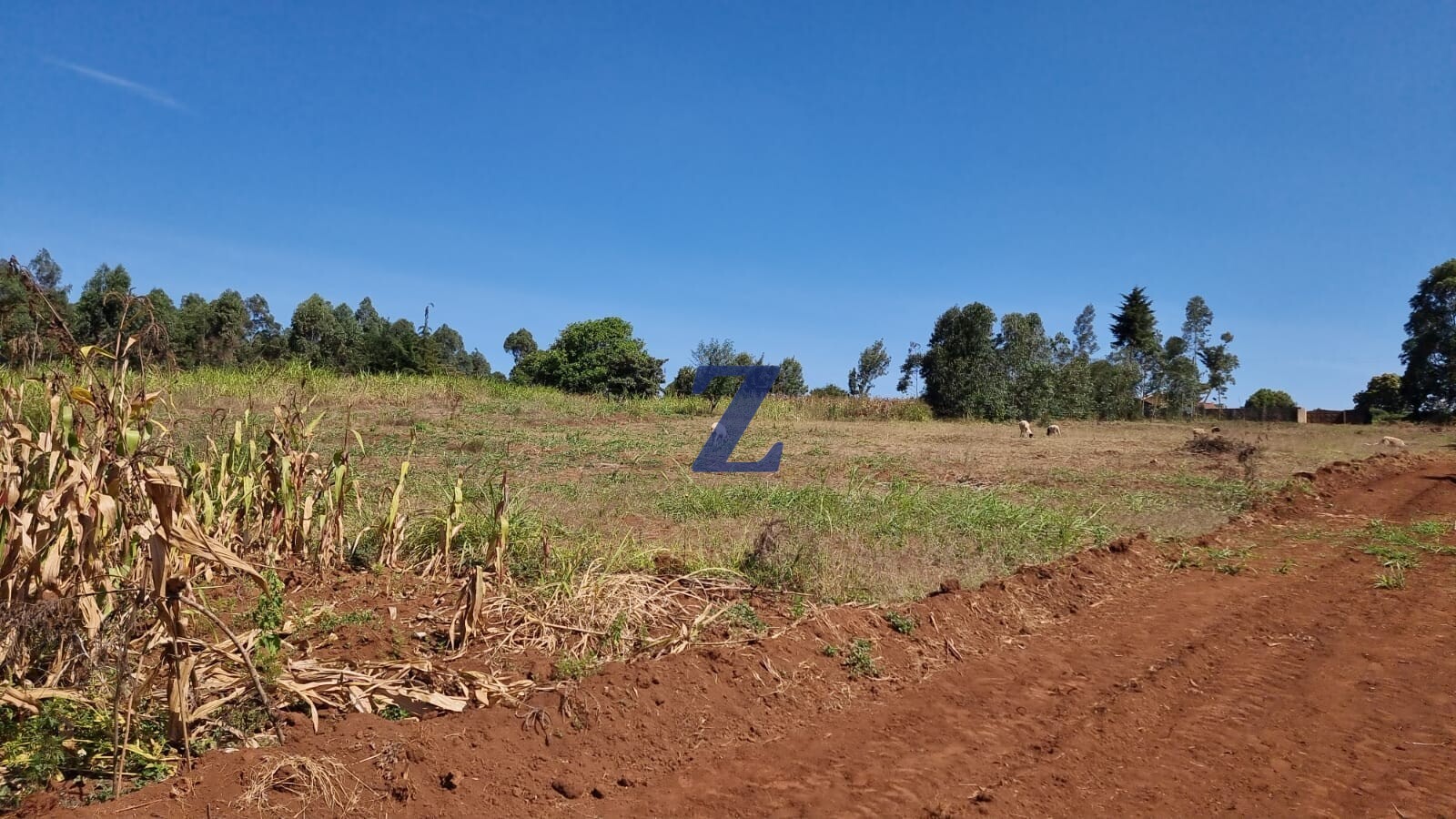 Prime Land for Sale Kikuyu Kamangu