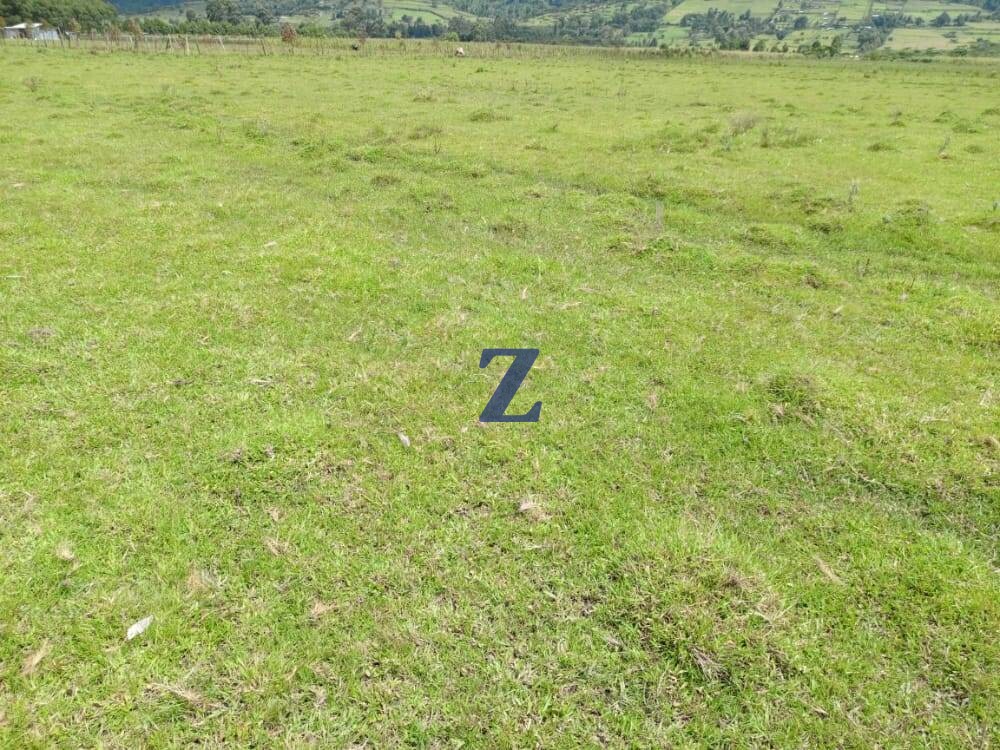 Prime Land For Sale Nakuru-Kericho Highway