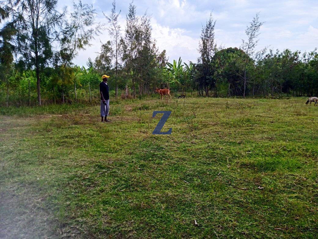 Land For Sale In Kisumu- Prime Plot for Sale, Nyalunya Kisumu