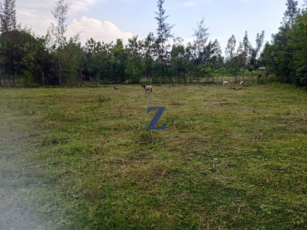 Land For Sale In Kisumu- Prime Plot for Sale, Nyalunya Kisumu