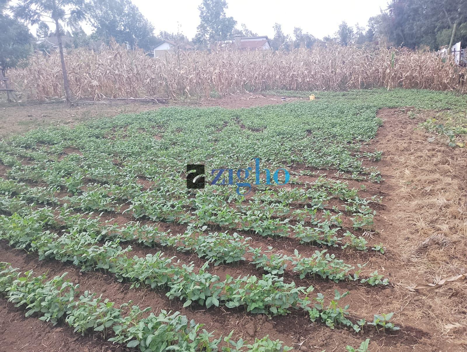 Lucrative land for Sale Karen