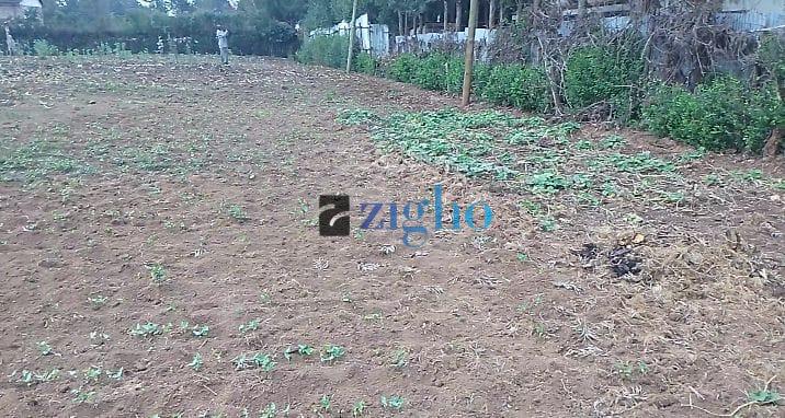 Lucrative land for Sale Karen